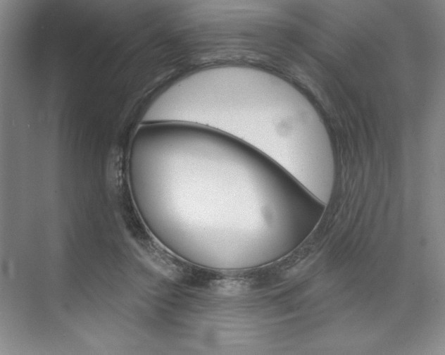 X0000073870356200608101113