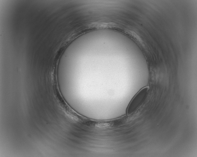 X0000073870357200608101113