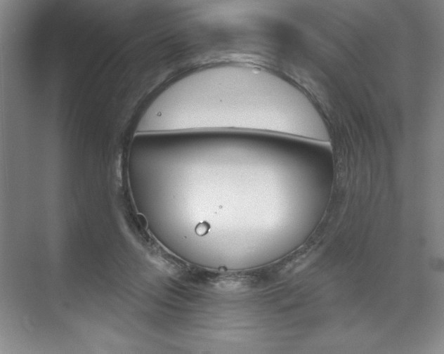 X0000073870358200608101113