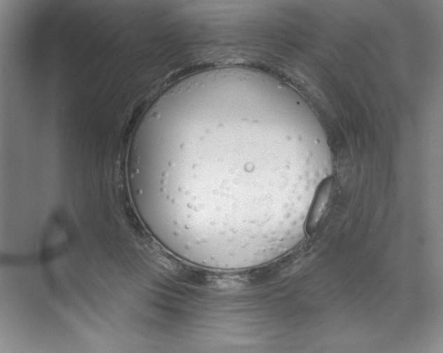 X0000073870359200608101113