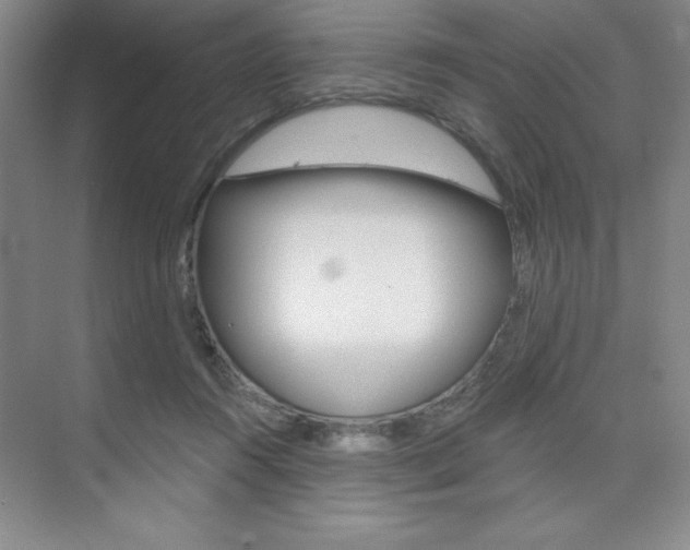 X0000073870360200608101113