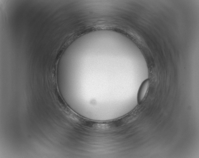 X0000073870361200608101113