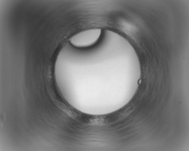 X0000073870362200608101113