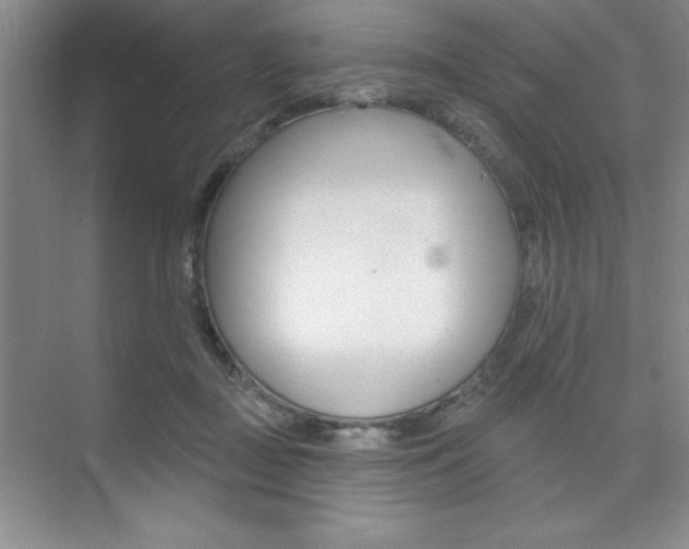 X0000073870363200608101113