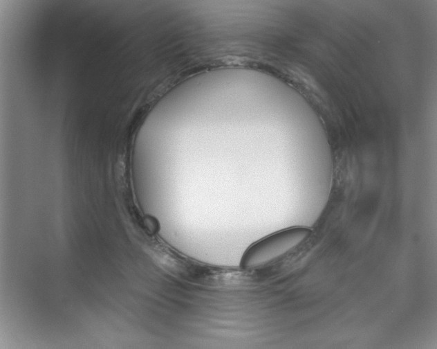 X0000073870365200608101113