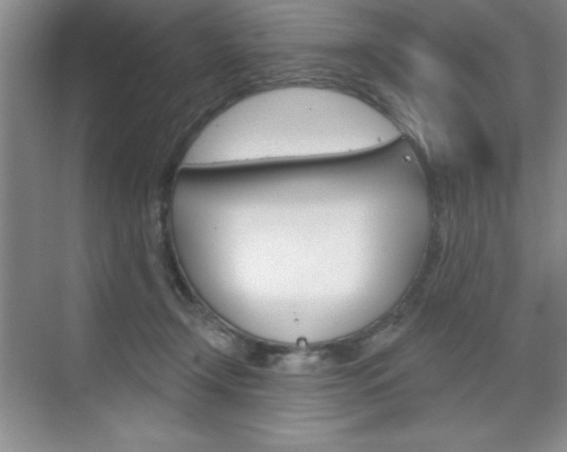 X0000073870366200608101113