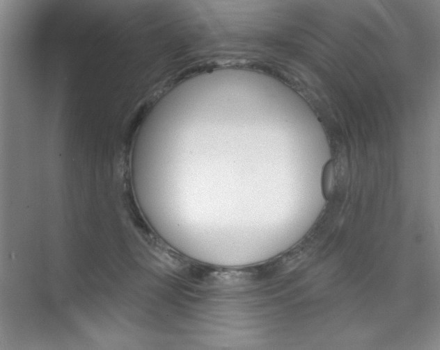 X0000073870367200608101113