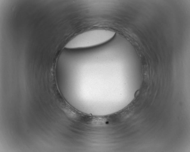 X0000073870369200608101113