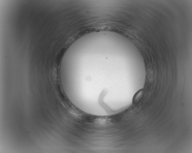 X0000073870375200608101113