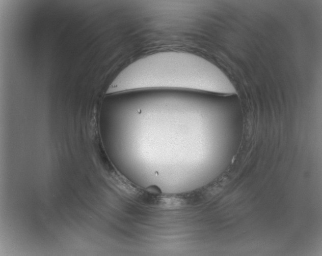 X0000073870376200608101113