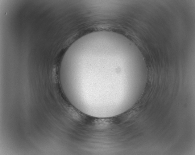 X0000073870378200608101113