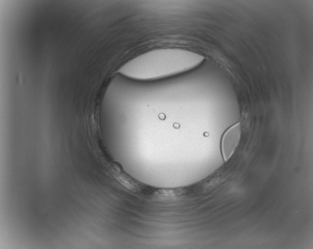 X0000073870381200608101113