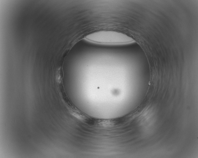 X0000073870383200608101113