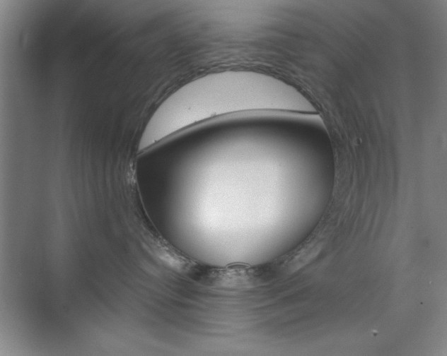 X0000073870384200608101113