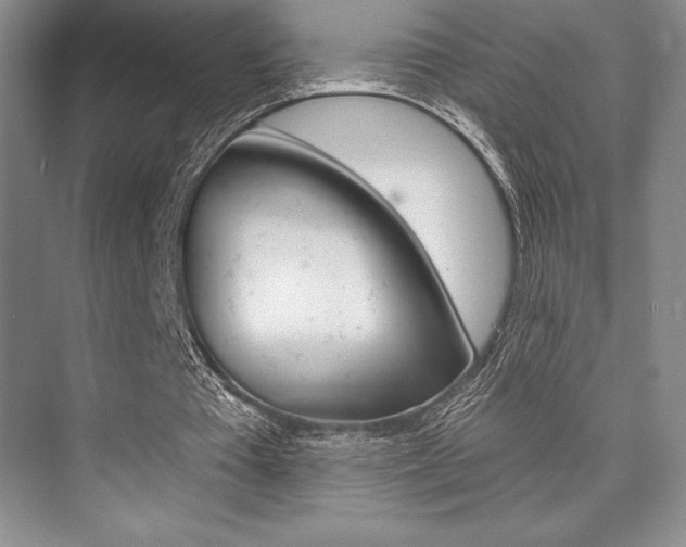 X0000073870385200608101112