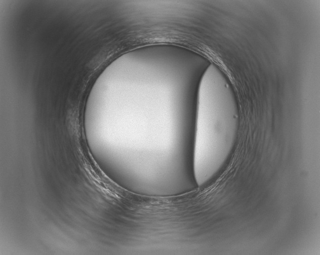 X0000073870386200608101112