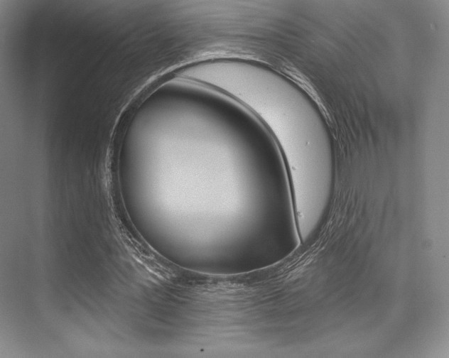 X0000073870387200608101112