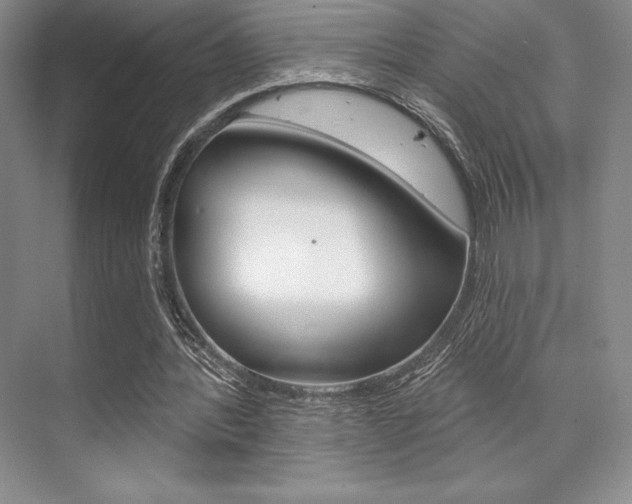 X0000073870388200608101112