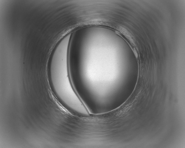 X0000073870389200608101112