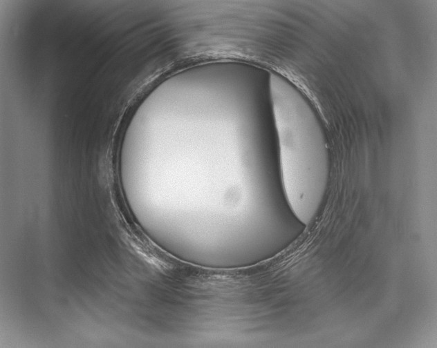 X0000073870390200608101112