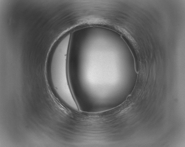 X0000073870391200608101112