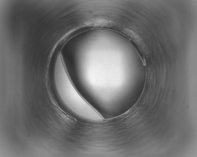 X0000073870392200608101112