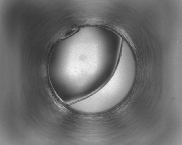 X0000073870393200608101112