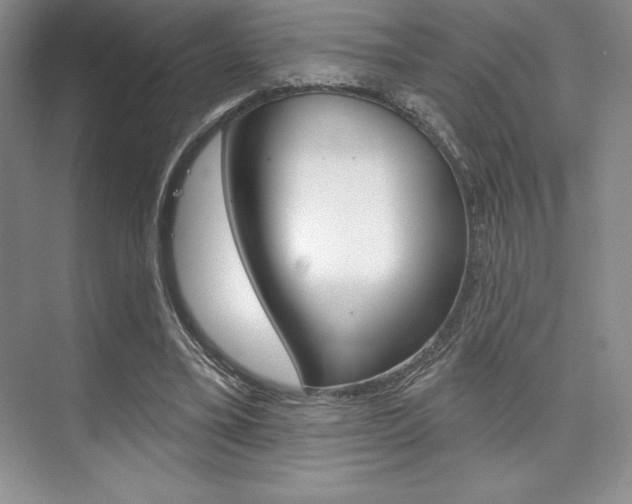 X0000073870395200608101112