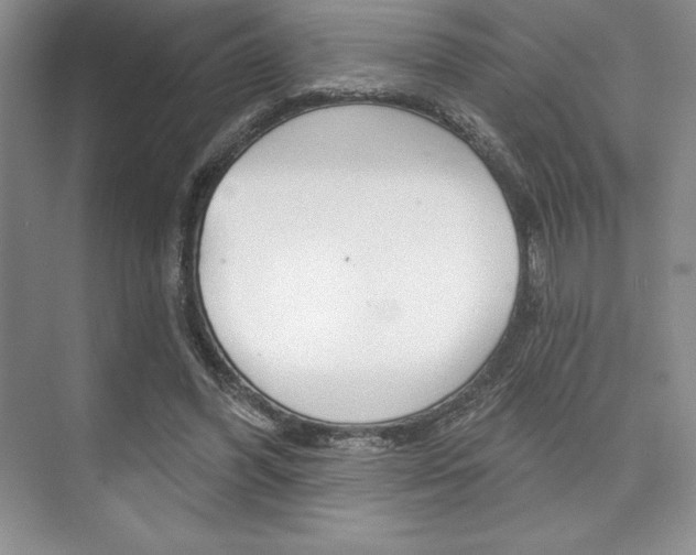 X0000073870396200608101112