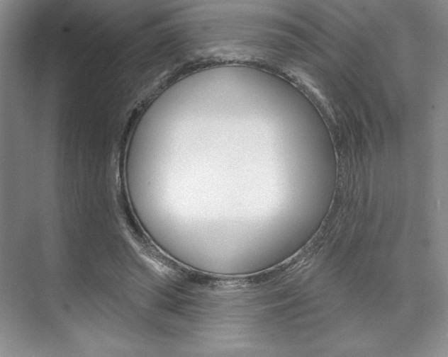 X0000073870398200608101112