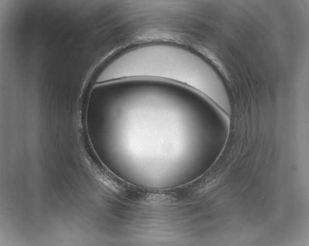 X0000073870399200608101112