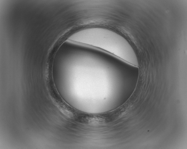 X0000073870400200608101112