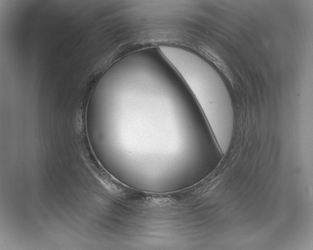 X0000073870401200608101112