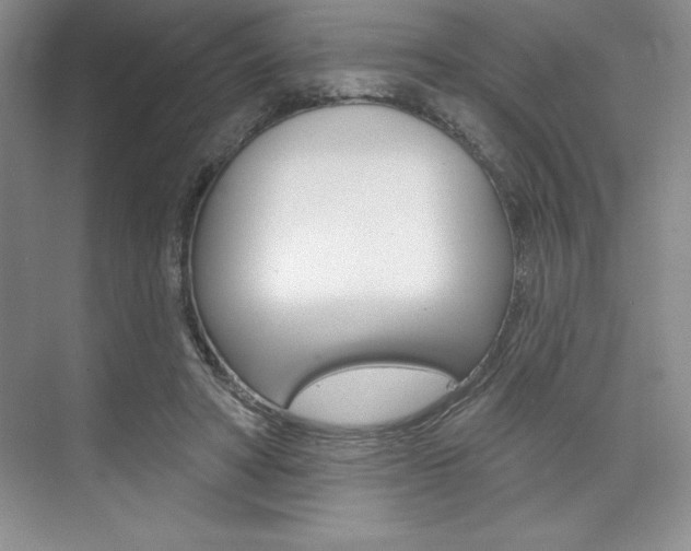 X0000073870402200608101112