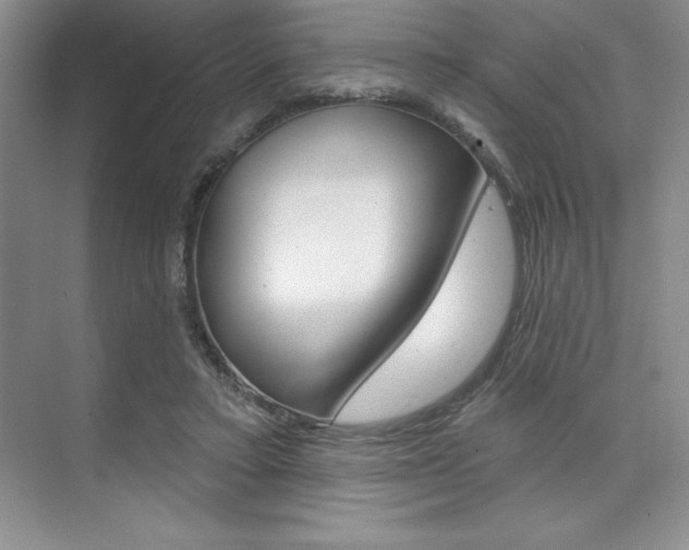 X0000073870403200608101112