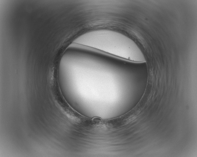 X0000073870404200608101112