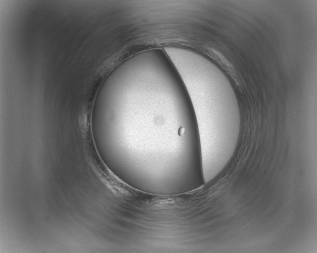 X0000073870405200608101112