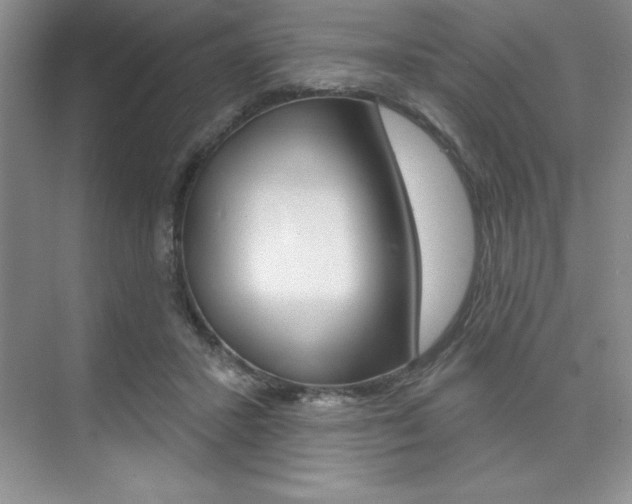 X0000073870407200608101112