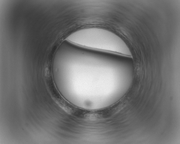 X0000073870408200608101112