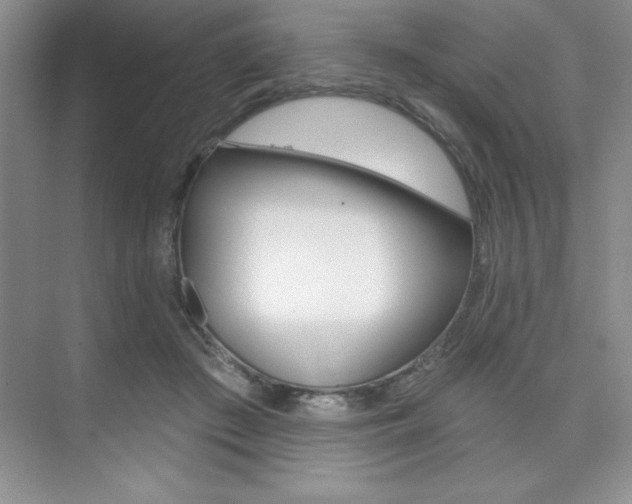 X0000073870409200608101112