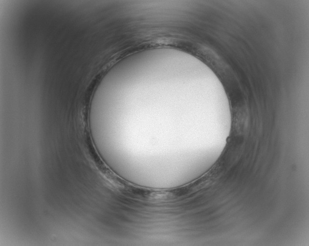 X0000073870410200608101112