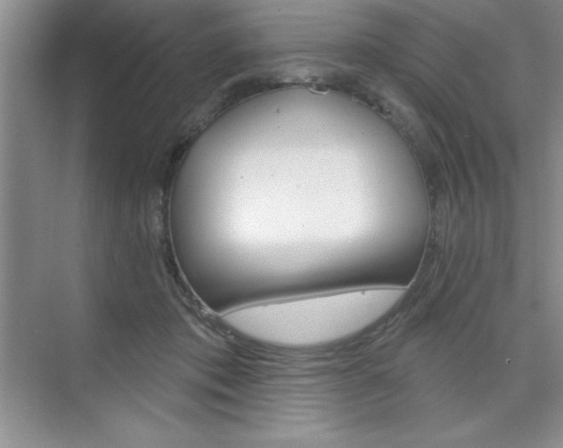 X0000073870413200608101112