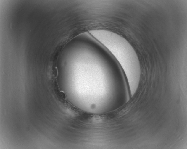 X0000073870416200608101112