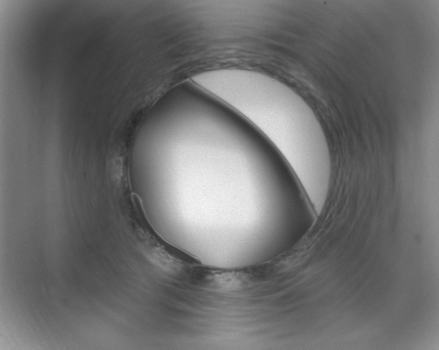 X0000073870417200608101112