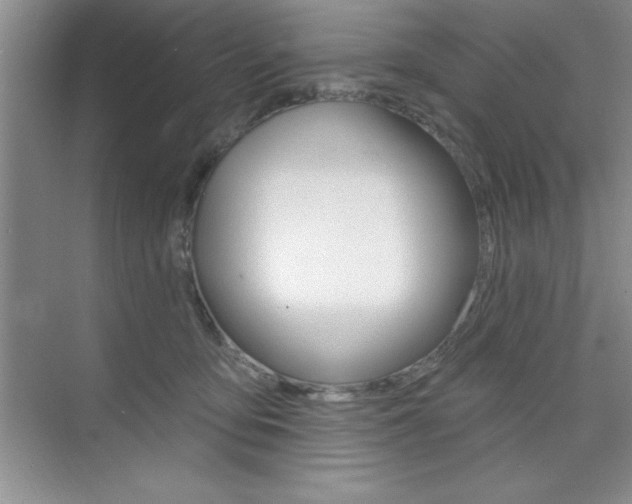 X0000073870419200608101112