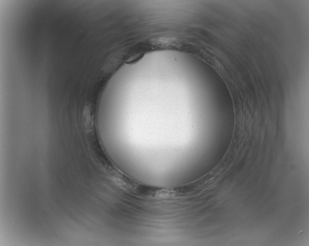 X0000073870420200608101112