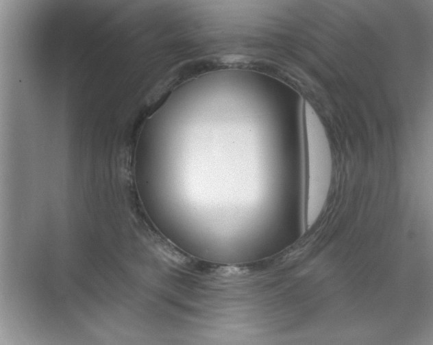 X0000073870421200608101112