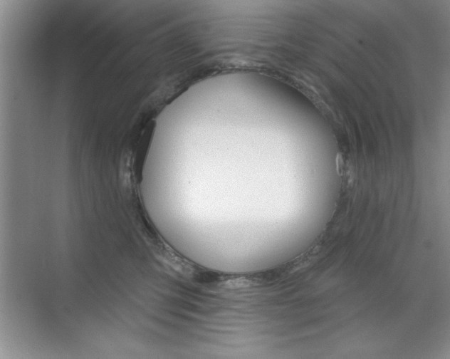 X0000073870423200608101112