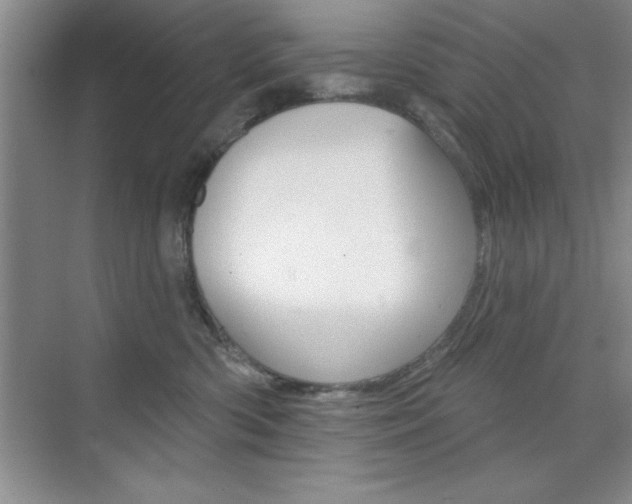 X0000073870426200608101112