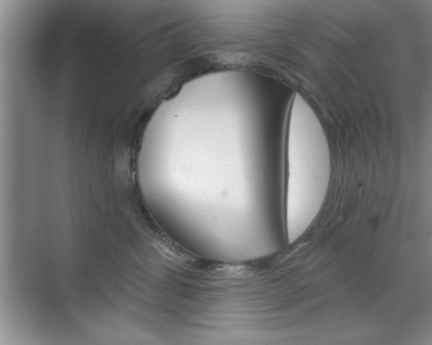 X0000073870428200608101112